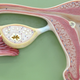 Illustration for article titled Smartasses Deluge Pro-Ultrasound Male Lawmakers Facebook Page With Detailed Vagina Updates